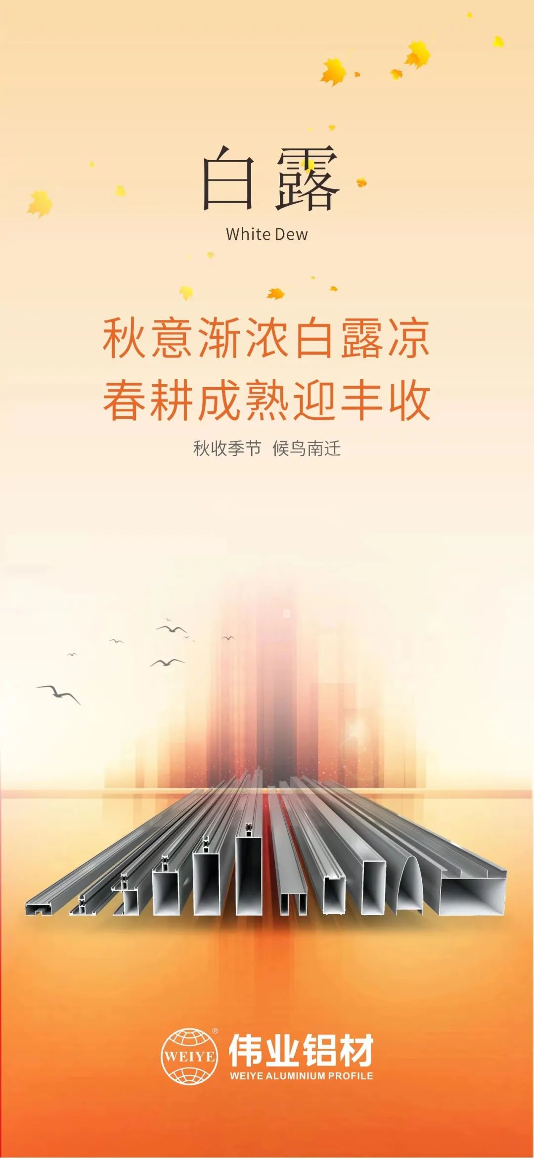 #���հ�¶ ���⽥Ũ��¶�� ��������ӭ����