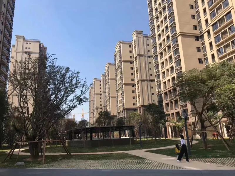 ���� | �����Է