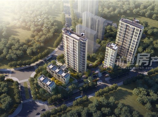 ���� | �����ø�