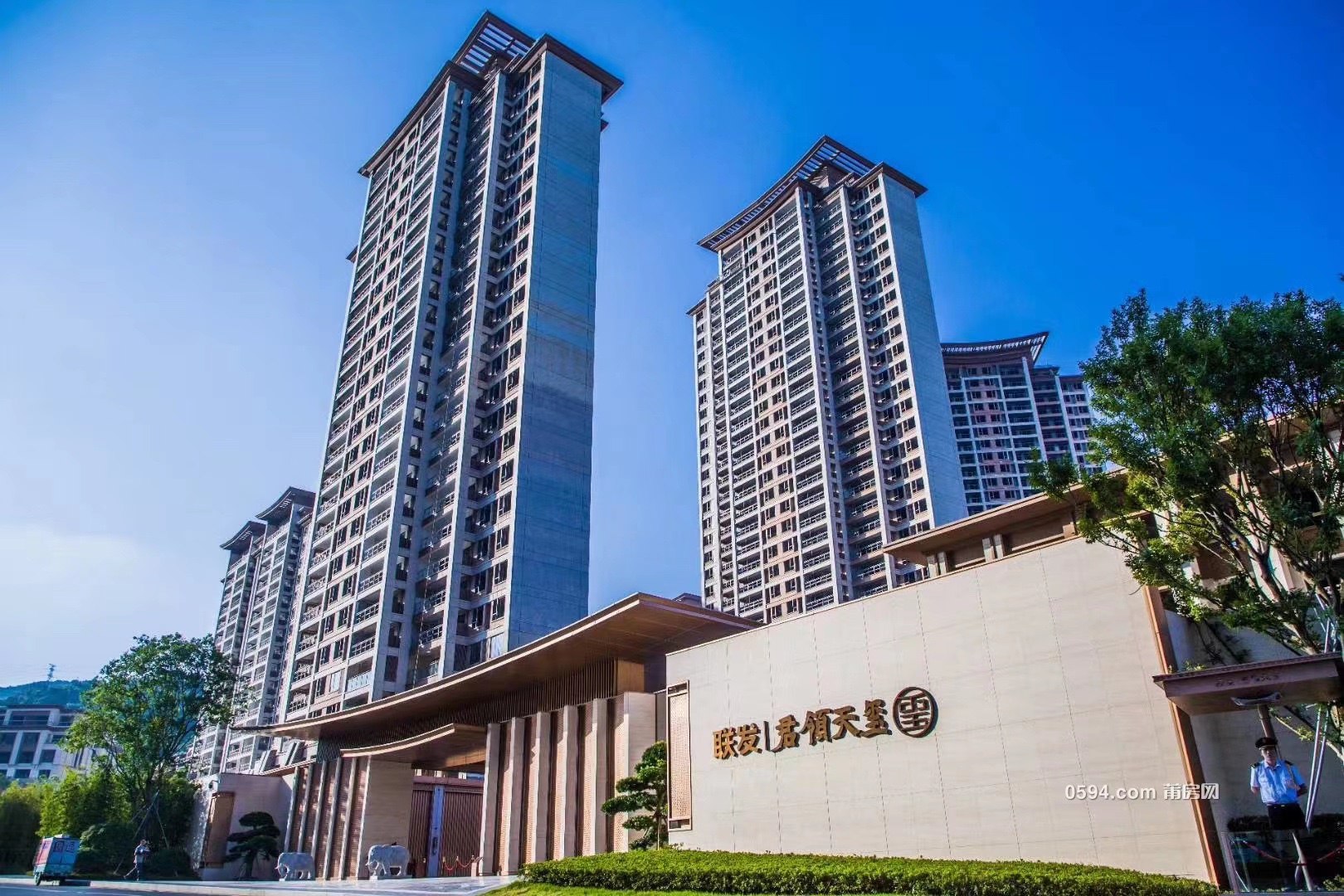 ���� | ������������