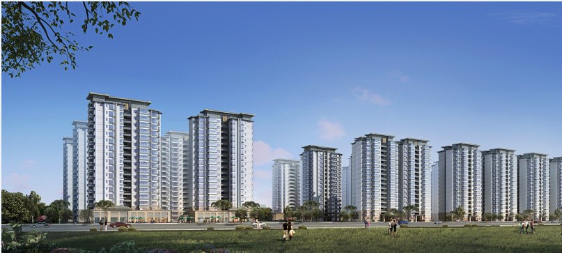 ���� | ���ƹ�ۡ